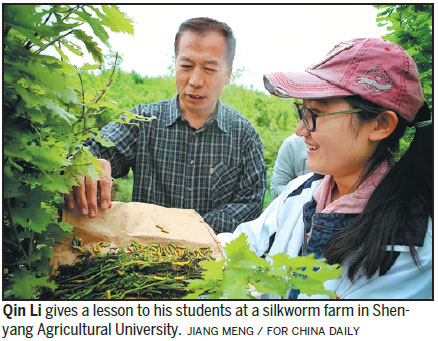 Studying silkworms honors ancient tradition