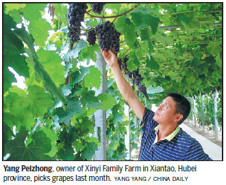 Hubei residents enriched by key agricultural asset