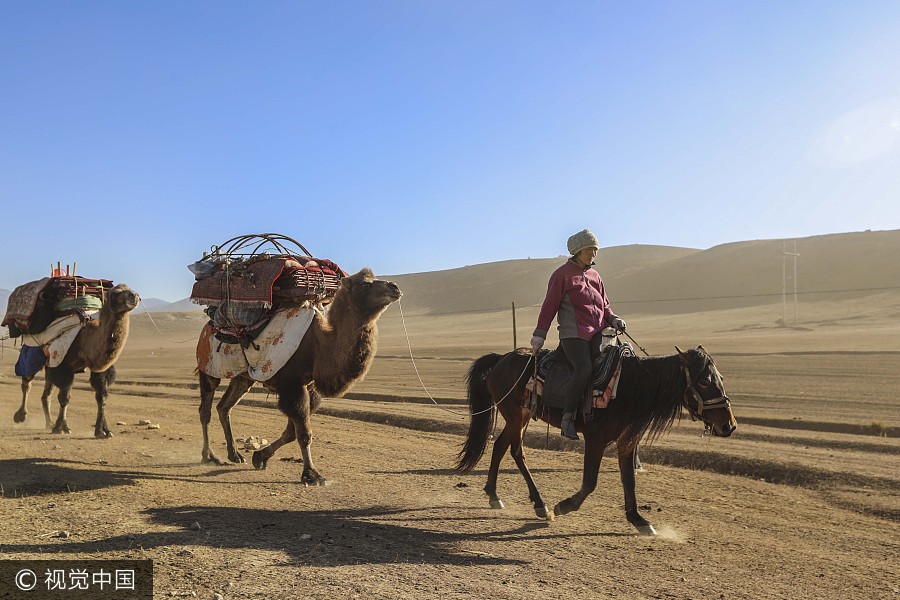 On the move: Kazak herdsmen head to winter pastures