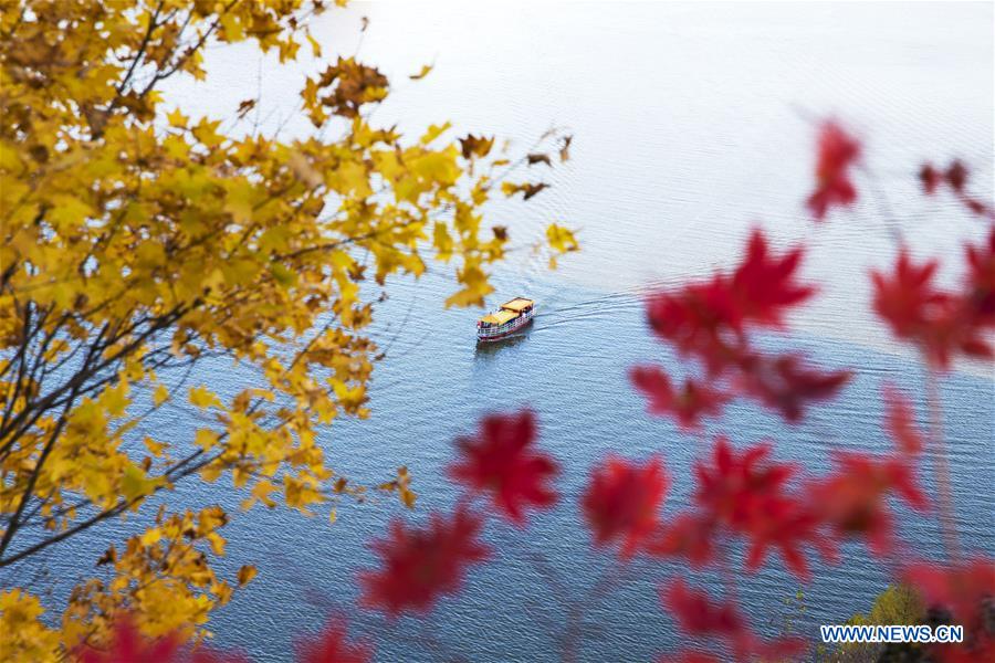 In pics: autumn scenery across the country