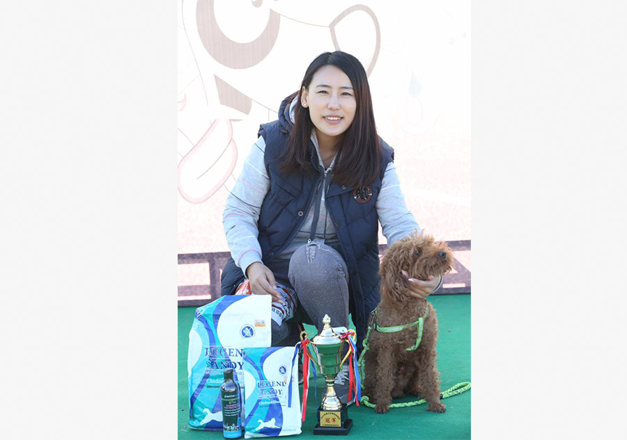 Dogs compete for tasty bite in Shenyang