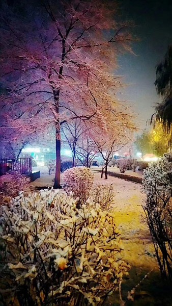 Snowfall turns Heilongjiang cities beautiful