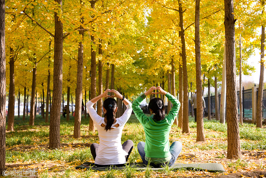 Fun with golden gingko leaves across China