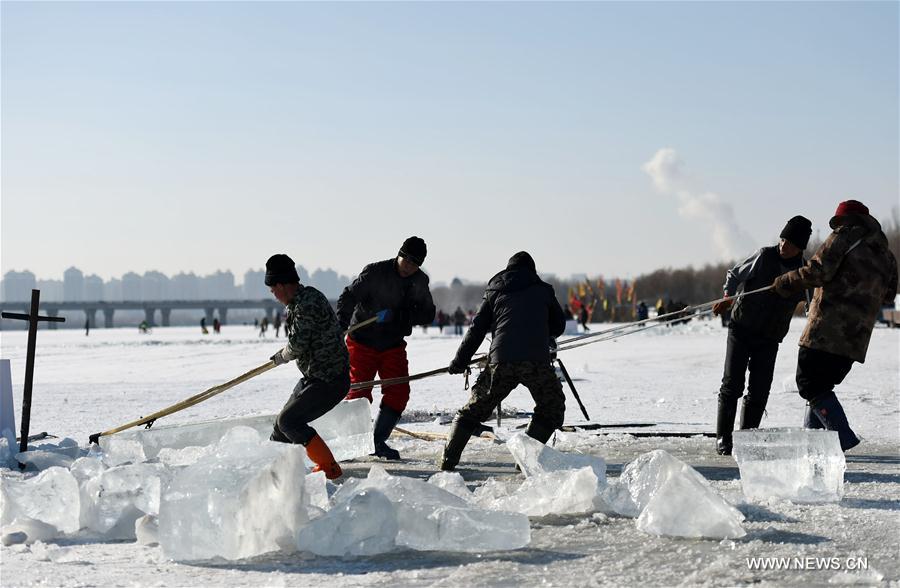 Ice collecting season begins in Harbin