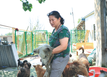 Savior of strays runs animal farm