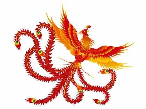 Chinese phoenix - auspicious bird rising from ashes