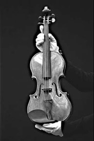 Musicians must borrow, not buy, the rarest violins