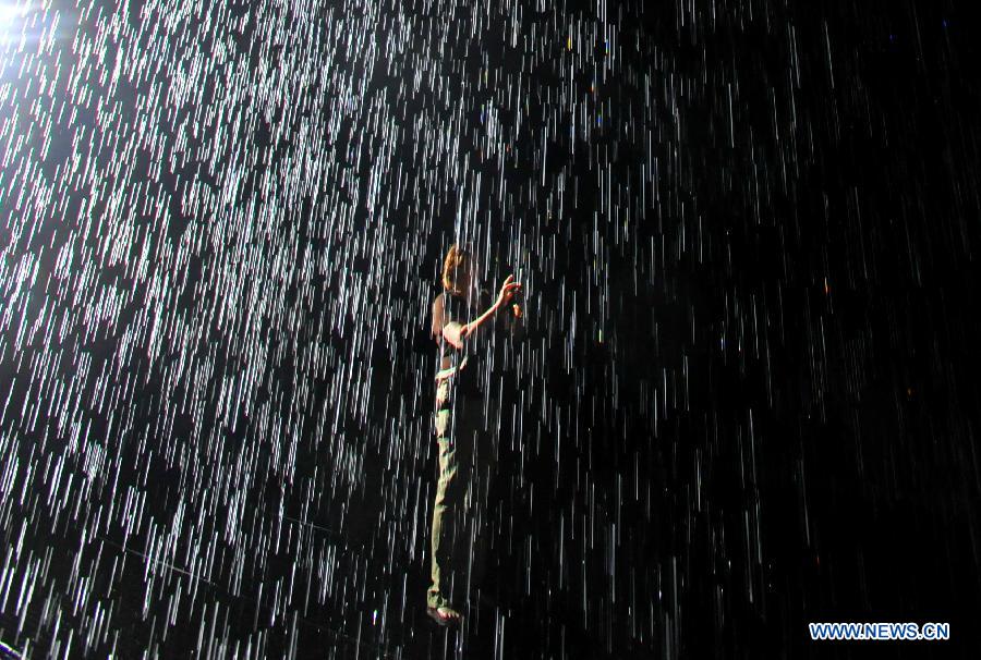 People experience 'Rain Room' art installation in New York