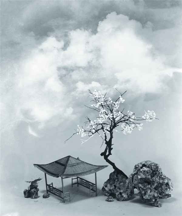 Lang Jingshan's photography exhibition