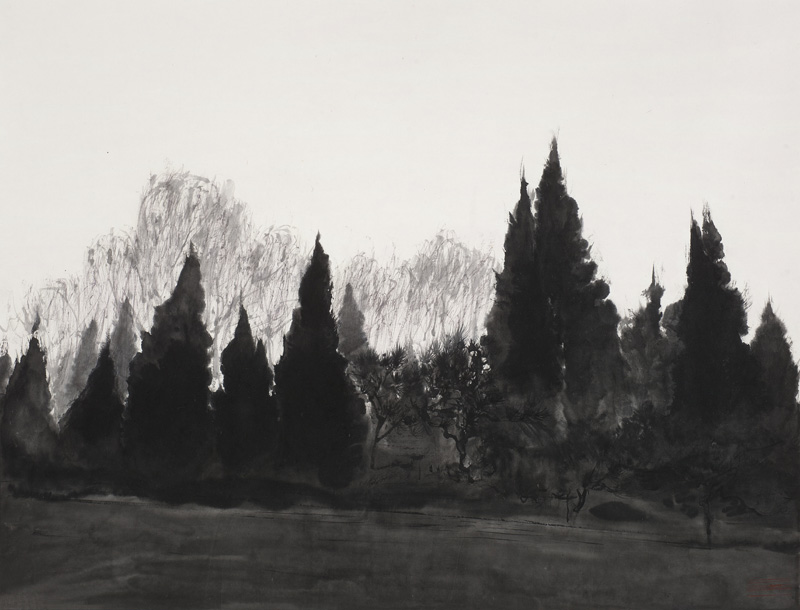 Exhibition of tree paintings reveals artist's loneliness