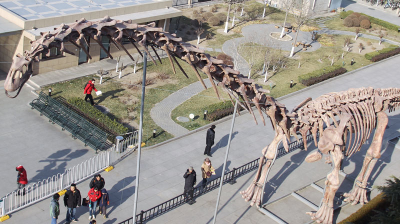 World's biggest dinosaur skeleton shown in Beijing