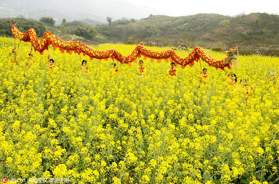 Chongqing students preserve grass dragon heritage
