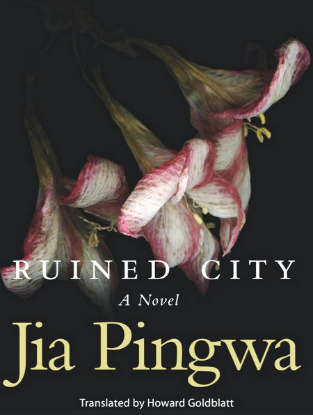 Jia's novel: Spotlight on rural pain