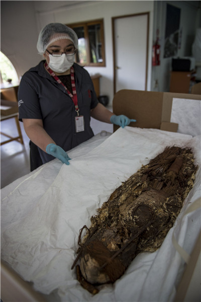Scans unveil the secrets of the oldest mummies