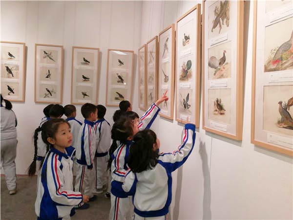 Art show on birds in 19th-century China