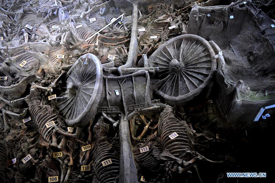 2,400-year-old horse and chariot pit unearthed in China