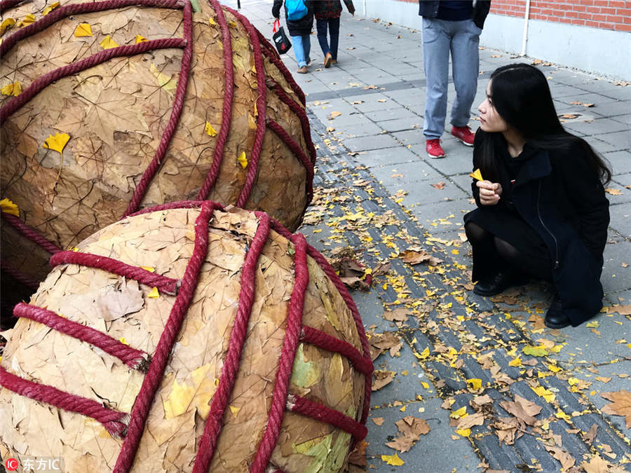 Shanghai stages street art exhibition on fallen leaves