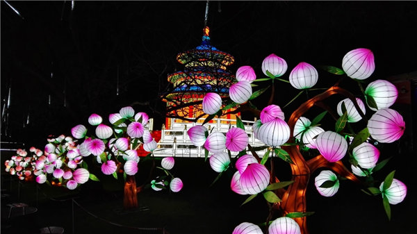Chinese giant lanterns illuminate Edinburgh Zoo