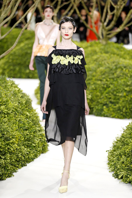 Paris Fashion Week S/S 2013: Dior