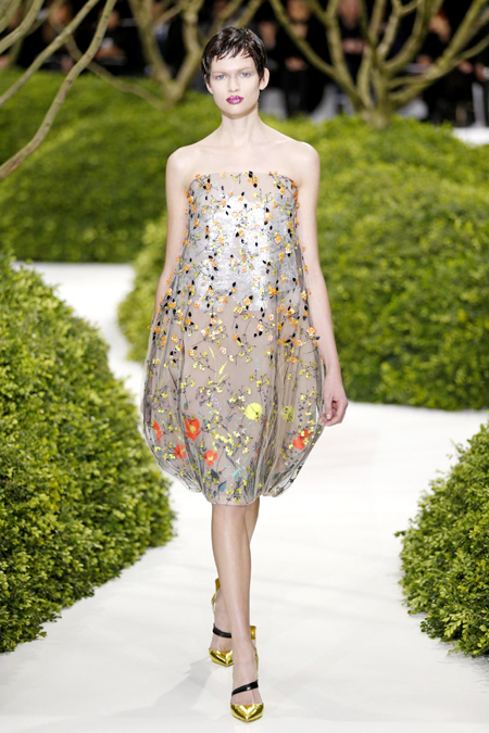 Paris Fashion Week S/S 2013: Dior