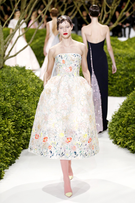 Paris Fashion Week S/S 2013: Dior