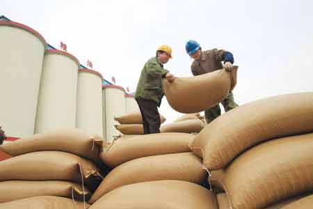 Rising demand fuels EU imports