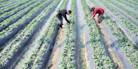 Getting down and dirty