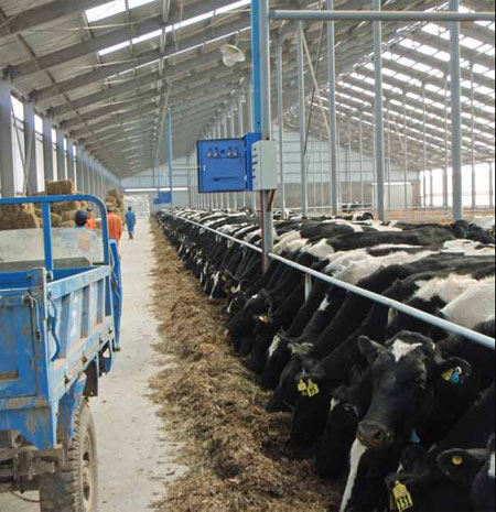 Filling in the milk void