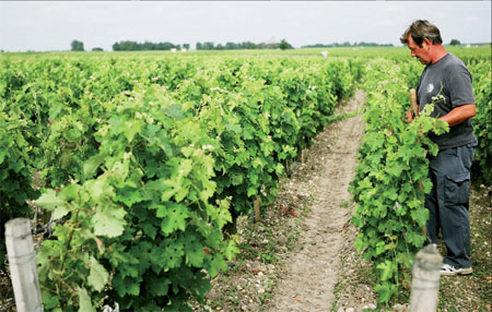 Reds' star rises in East