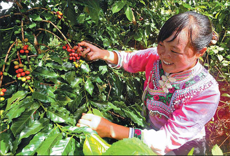 Wake up and smell the Chinese coffee