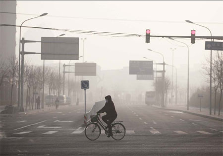 City struggles in war against smog