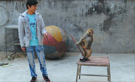 The circus is in town