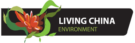 The king has no castle