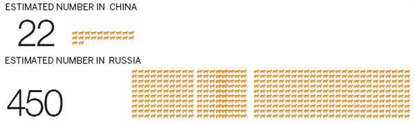 The king has no castle