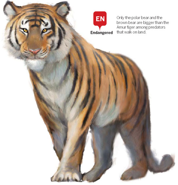 The king has no castle