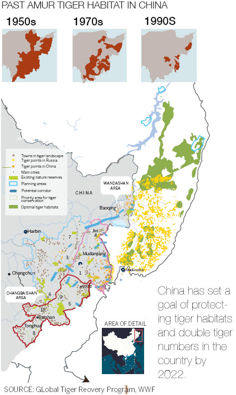 The king has no castle