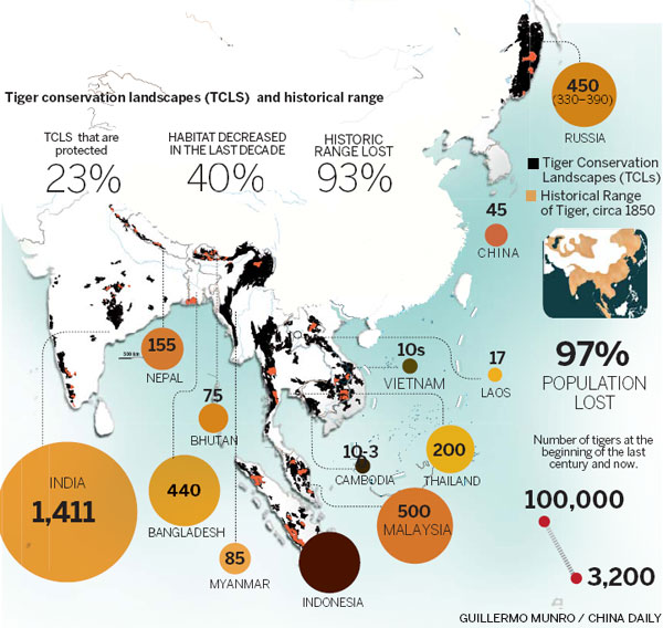 The king has no castle