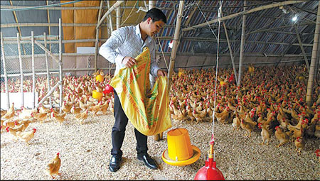 Poultry industry under pressure