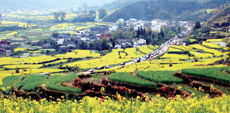 Picture that launched a tourist trade