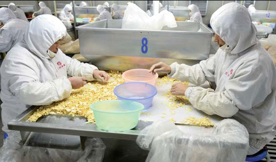 Small farmers grow in big company