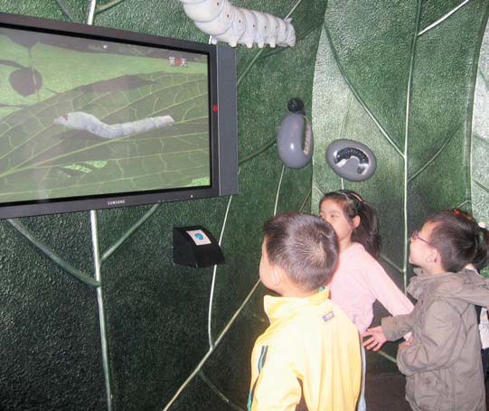 What worms do to keep busy