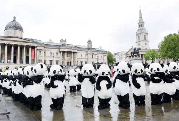 Pandas knock rock stars off the stage