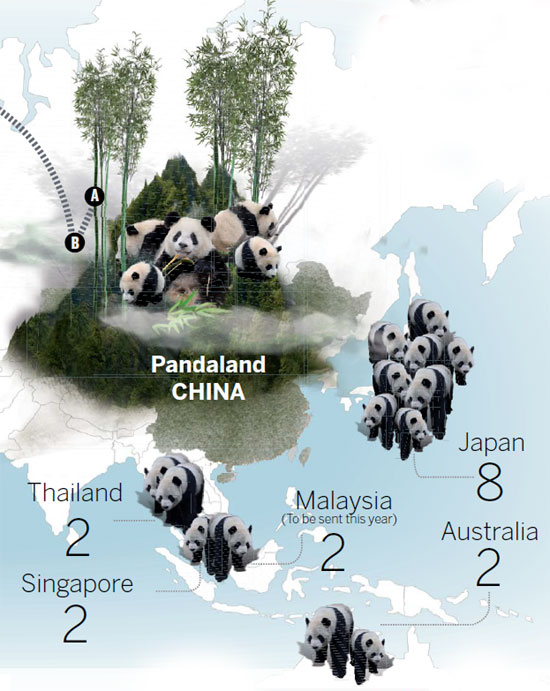 Panda planet