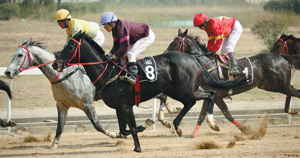 Long-odds bet on a change of heart