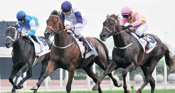 An export of horses for courses