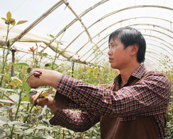 Grower blossoms into a trader