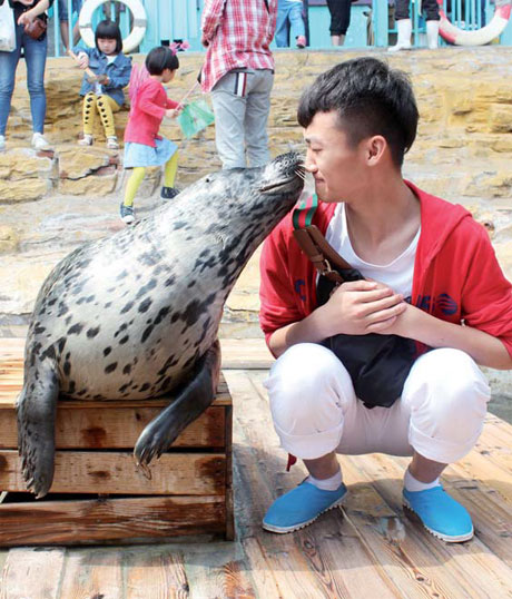 Spotted seals get special attention