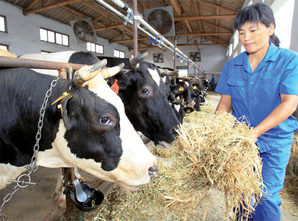 Grass is greener on the other side