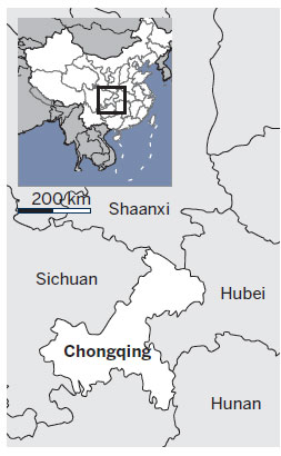 Living in the luxury of laptops