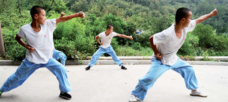Kung fu kick-starts careers